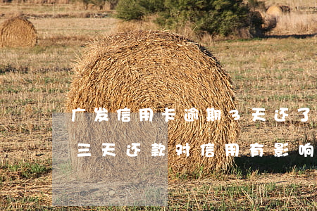 广发信用卡逾期3天还了最低(广发银行逾期三天还款对信用有影响吗)