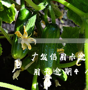 广发信用卡逾期4个月没还会怎样-广发信用卡逾期4个月没还会怎样处理
