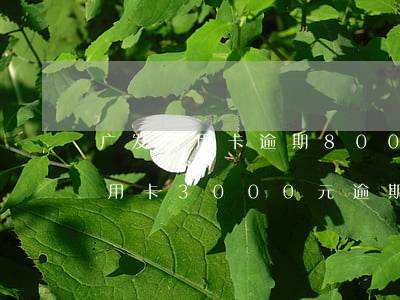 广发信用卡逾期800元利息-广发银行信用卡3000元逾期多久会起诉