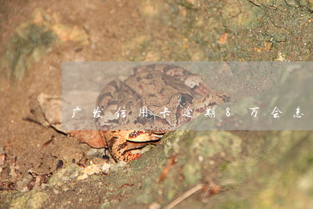 广发信用卡逾期8万会怎样