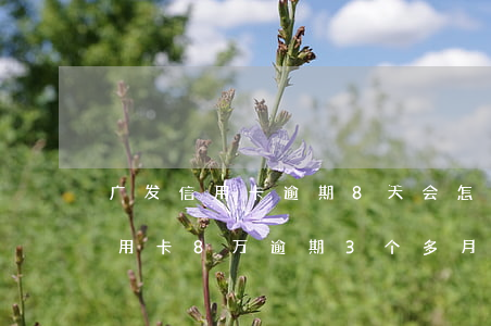 广发信用卡逾期8天会怎样(欠了广发银行信用卡8万逾期3个多月还不起起诉我怎么办)