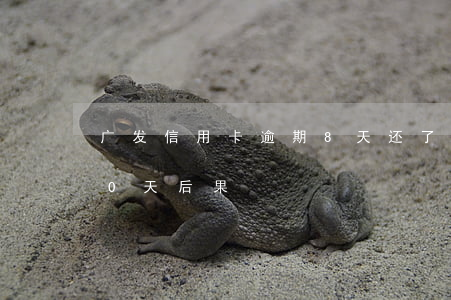 广发信用卡逾期8天还了(广发信用卡逾期10天后果)