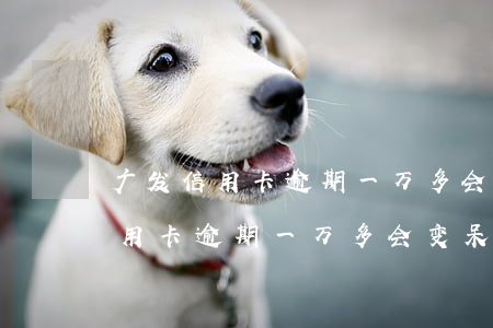 广发信用卡逾期一万多会变呆帐吗-广发信用卡逾期一万多会变呆帐吗知乎