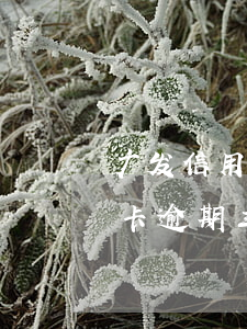 广发信用卡逾期三个月还能最低吗(广发信用卡逾期三个月还能最低吗)