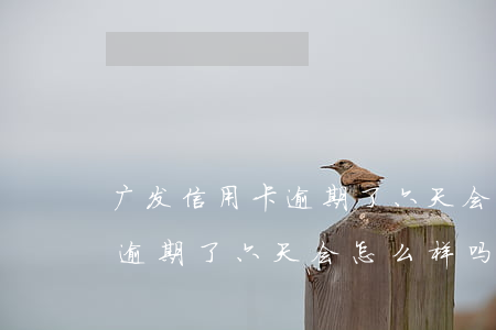 广发信用卡逾期了六天会怎么样(广发信用卡逾期了六天会怎么样吗)