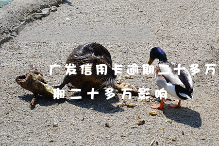 广发信用卡逾期二十多万影响(广发信用卡逾期二十多万影响)