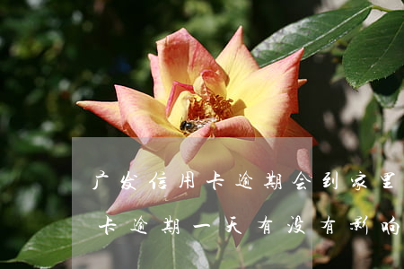 广发信用卡逾期会到家里找么(广发银行信用卡逾期一天有没有影响?)