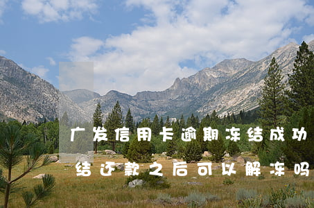 广发信用卡逾期冻结成功(广发信用卡逾期冻结,还款之后可以解冻吗)