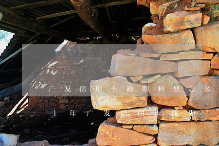 广发信用卡逾期利息怎么算的上海-2021年广发信用卡逾期