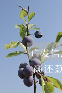 广发信用卡逾期协商还款(广发信用卡逾期协商还款后征信记录)