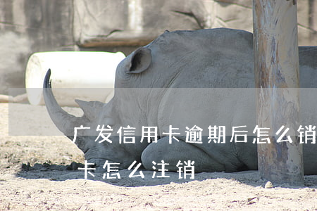 广发信用卡逾期后怎么销卡(广发银行卡信用卡怎么注销)