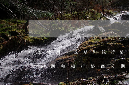 广发信用卡逾期和银行协商分期-广发信用卡逾期和银行协商分期的区别