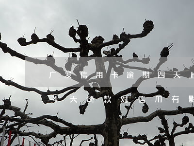 广发信用卡逾期四天上征信不(广发银行逾期4天还款对信用有影响吗)