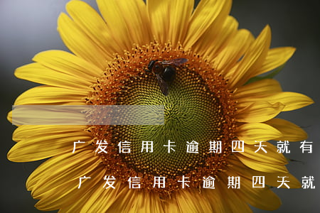 广发信用卡逾期四天就有第三方公司催收-广发信用卡逾期四天就有第三方公司催收吗