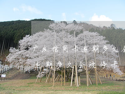 广发信用卡逾期多久会被停卡-广发信用卡逾期多久会被停卡
