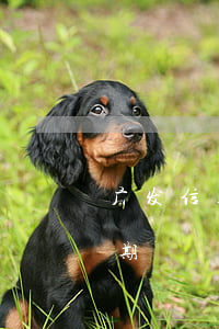 广发信用卡逾期容易被降额吗(广发 信用卡 逾期)