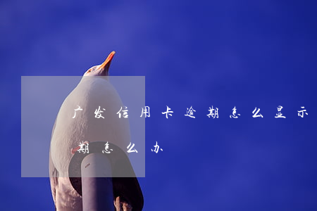 广发信用卡逾期怎么显示(广发信用卡分期逾期怎么办)