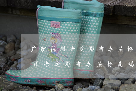 广发信用卡逾期有办法协商吗上海-广发信用卡逾期有办法协商吗上海