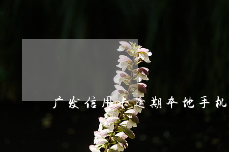 广发信用卡逾期本地手机催收