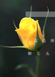 广发信用卡逾期本金打折(广发信用卡严重逾期怎么办)