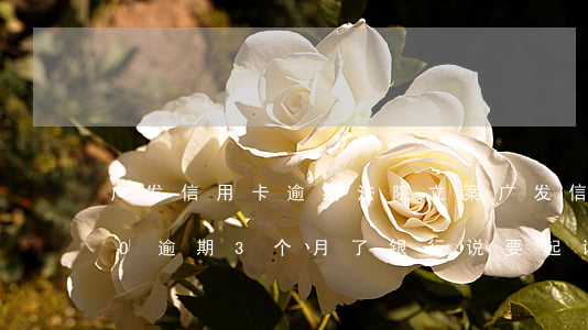 广发信用卡逾期法院立案(广发信用卡3000逾期3个月了 银行说要起诉)