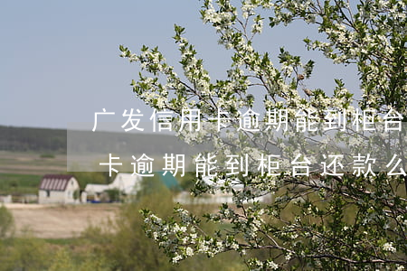 广发信用卡逾期能到柜台还款么-广发信用卡逾期能到柜台还款么吗