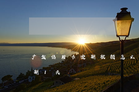 广发信用卡逾期被锁怎么办(广发卡信用卡逾期1天)