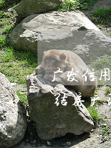 广发信用卡逾期起訴(广发信用卡逾期起诉冻结房产,现在想要协商处理)