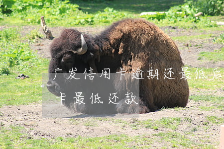 广发信用卡逾期还最低后还能用吗(广发信用卡 最低还款)