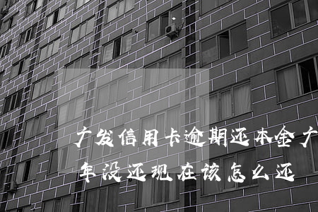广发信用卡逾期还本金(广发信用卡逾期了几年没还,现在该怎么还?)