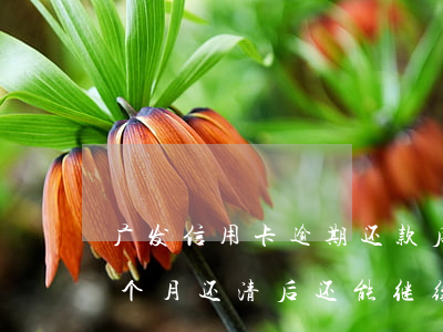 广发信用卡逾期还款后用不了(广发卡逾期三个月,还清后还能继续使用吗)