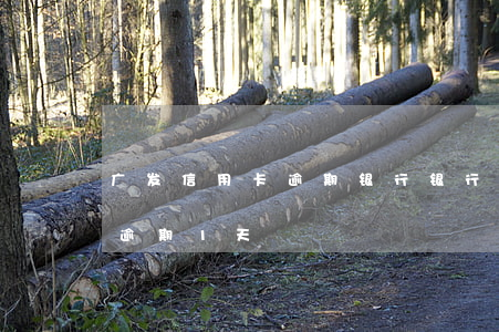 广发信用卡逾期银行银行强制(广发卡信用卡逾期1天)