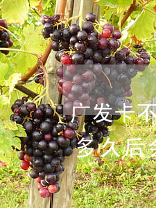广发卡不小心逾期一次怎么办(广发银行逾期多久后会影响其他信用卡)