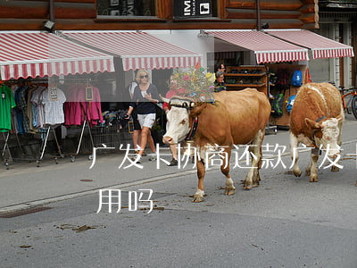 广发卡协商还款(广发卡协商还款成功卡还能用吗)
