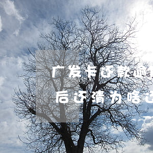 广发卡还款逾期一天6(广发信用卡逾期7天后还清 ,为啥还受限制)