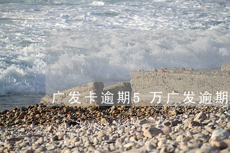 广发卡逾期5万(广发逾期一天5万扣多少)