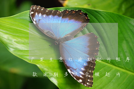 广发生意红逾期起诉程序(广发银行生意红贷款逾期多久会被起诉)