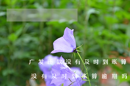 广发还款没有及时到账算逾期吗-广发还款没有及时到账算逾期吗怎么办