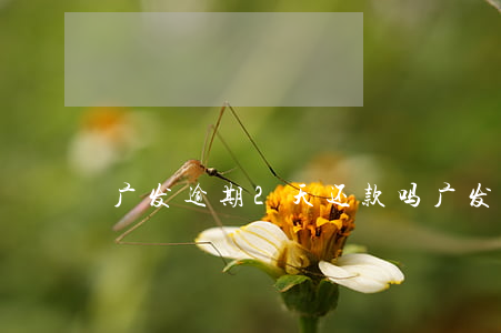 广发逾期2天还款吗(广发逾期2天还款吗)