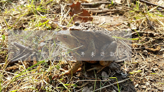 广发逾期一年未还款