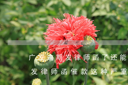 广发逾期发律师函了还能协商吗-广发银行发律师函催款这种,严重吗