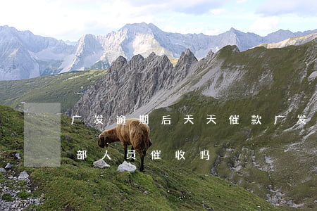 广发逾期后天天催款(广发逾期几天是广发内部人员催收吗)