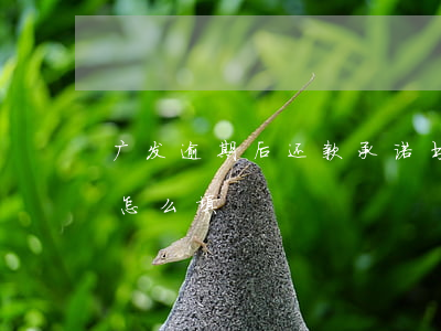 广发逾期后还款承诺书(广发银行还款承诺书怎么填)