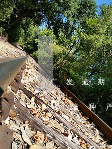 广发逾期多久发律师函(广发银行发律师函催款这种,严重吗)