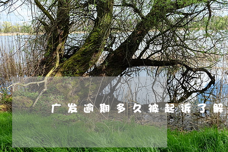 广发逾期多久被起诉：了解可能的后果与影响