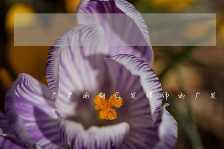广发逾期已发律师函(广发法律函件最后催告)