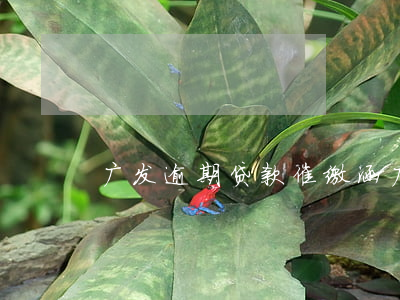 广发逾期贷款催缴涵(广发银行催款频繁)