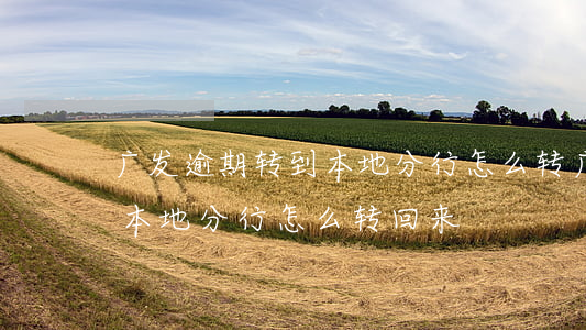 广发逾期转到本地分行怎么转(广发逾期转到本地分行怎么转回来)