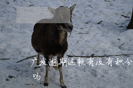 广发逾期还款有没有积分(广发积分年底清零吗)