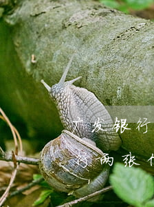 广发银行两张信用卡逾期还错卡了-广发银行两张信用卡逾期还错卡了怎么办